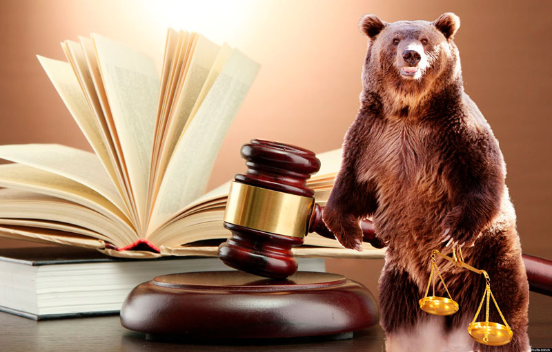 Правовое партнёрство «Медведь» - надёжная защита от банков и коллекторов